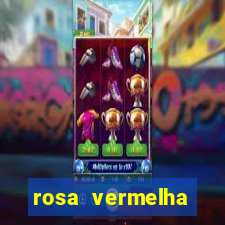 rosa vermelha (letra e cifra)